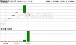 次新股最新爆料,揭秘市场新宠，投资机会一网打尽